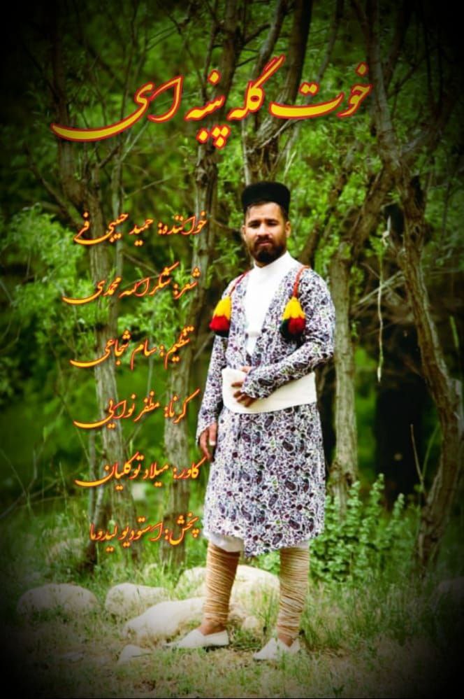 حمید حبیبی فر خوت گل پنبه ای